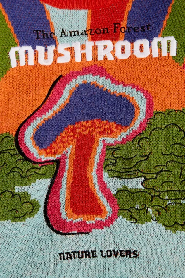 Amazon Mushroom Embroidered Sweater Women Farm Rio Sweaters and Sweatshirts