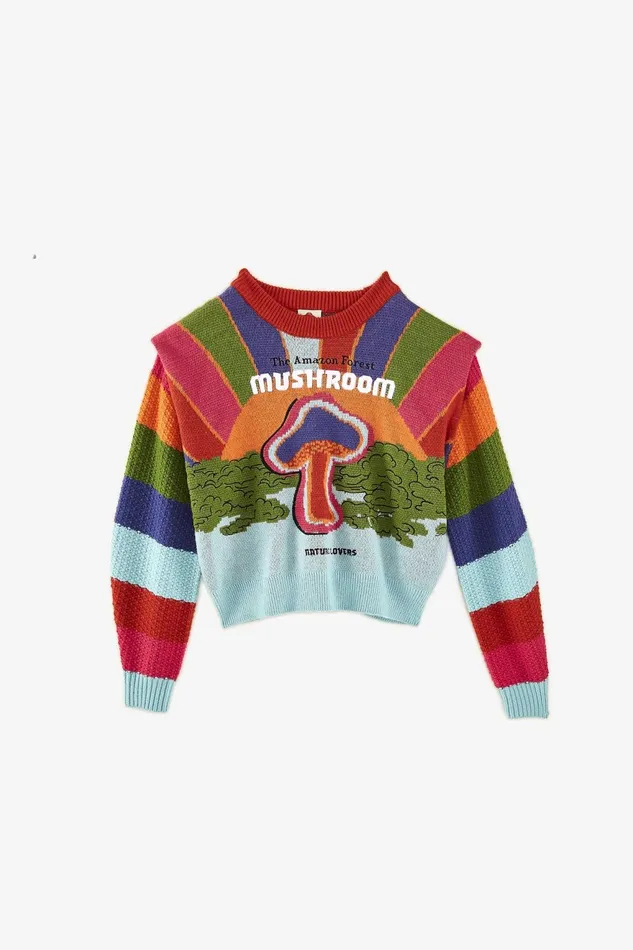 Amazon Mushroom Embroidered Sweater Women Farm Rio Sweaters and Sweatshirts