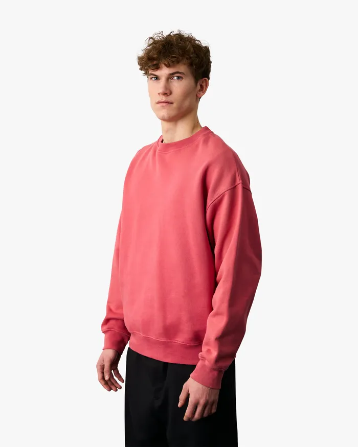 Crewneck Sweatshirts Men Colorfulstandard Organic Oversized Crew 8211 Pine Green