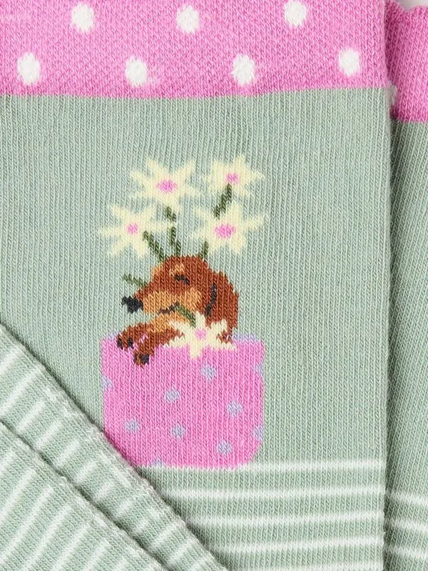 Fat Face Socks Women Green Dog In A Flower Pot Socks