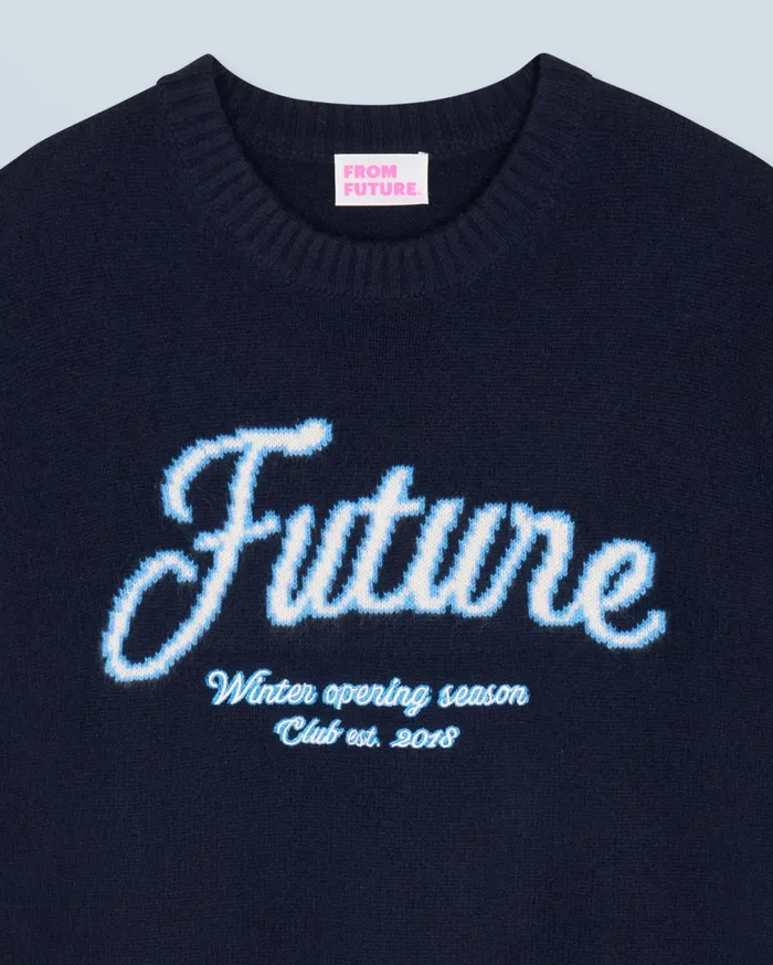 From Future Cashmere Sweaters Women Crewneck Sweater Navy