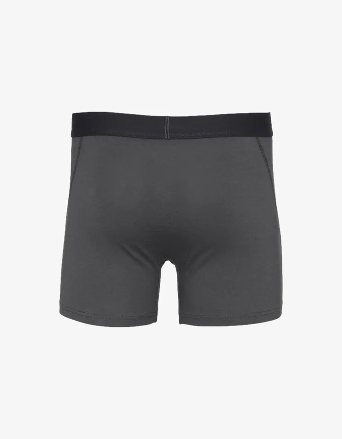 Men Classic Organic Boxer Briefs Lava Grey Colorful Standard Underwear