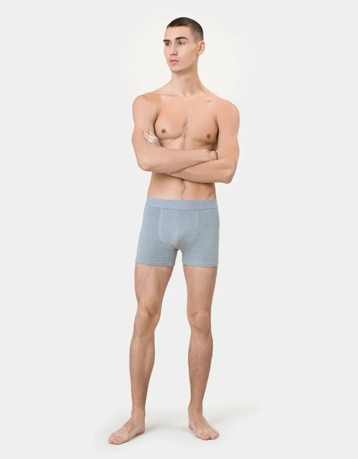 Men Classic Organic Boxer Briefs Polar Blue Colorful Standard Underwear
