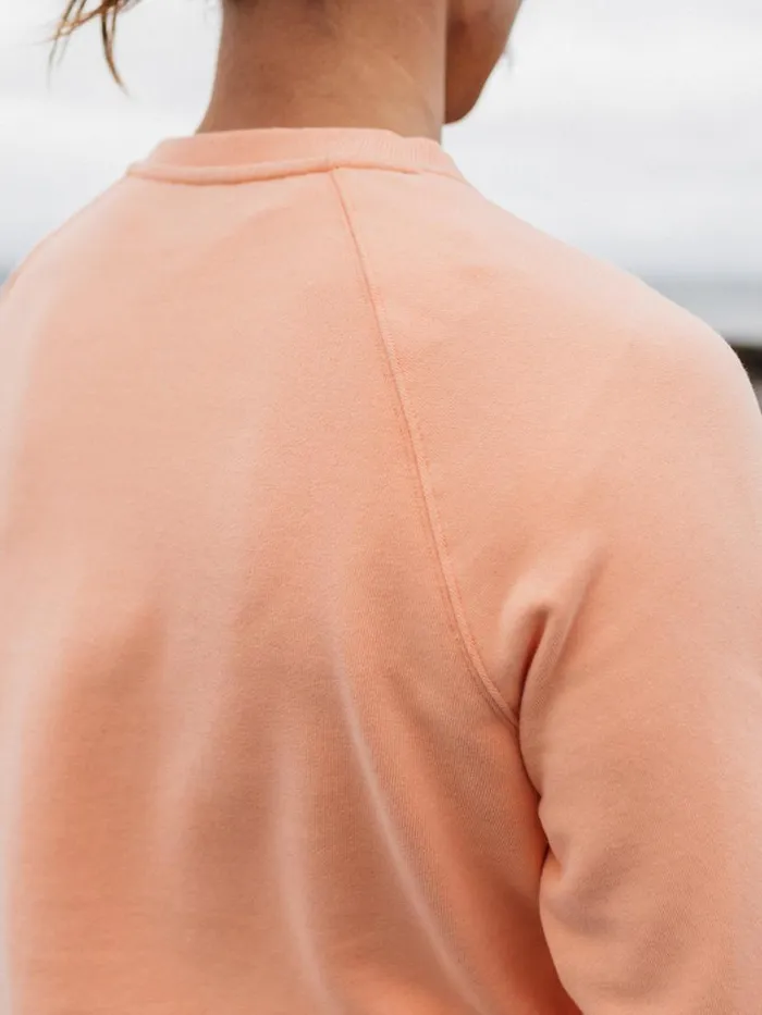 Men Coho Sweatshirt Reef Pink Finisterre Sweatshirts and Hoodies