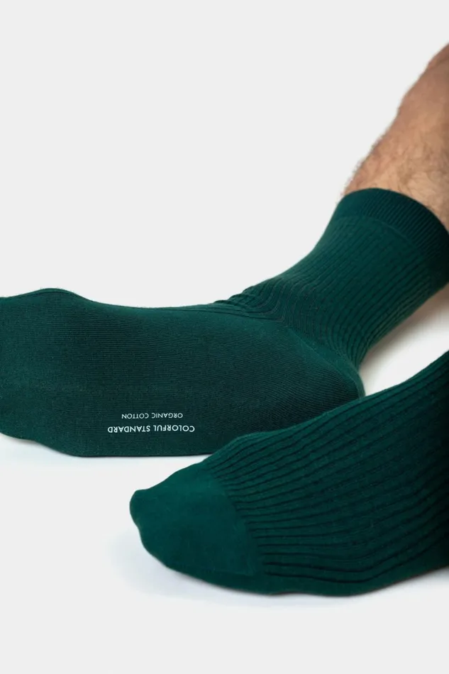 Men Merino Wool Blend Sock Oxblood Red Colorful Standard Socks and