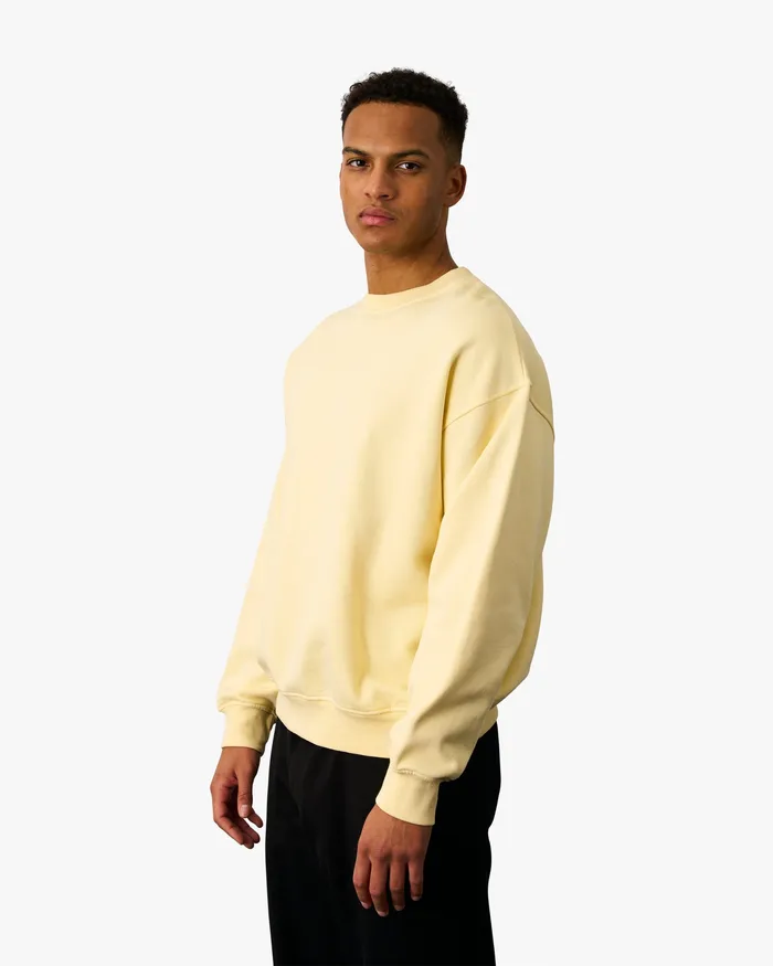 Organic Oversized Crew 8211 Misty Brown Crewneck Sweatshirts Colorfulstandard Men