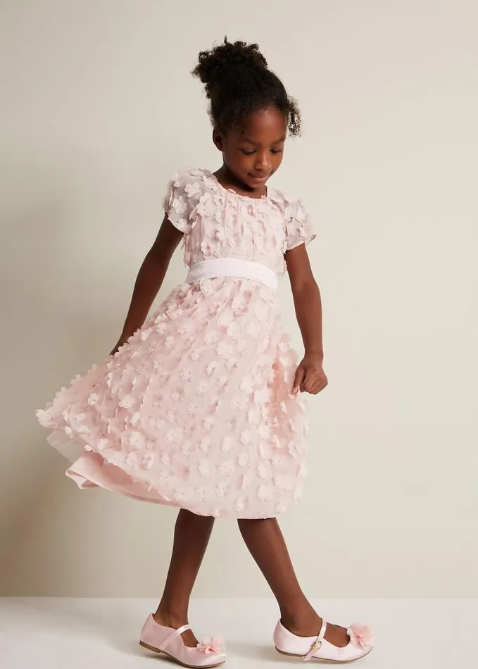 Phase Eight Alice Flower Fit And Flare Dress Antique Rose Women Dresses