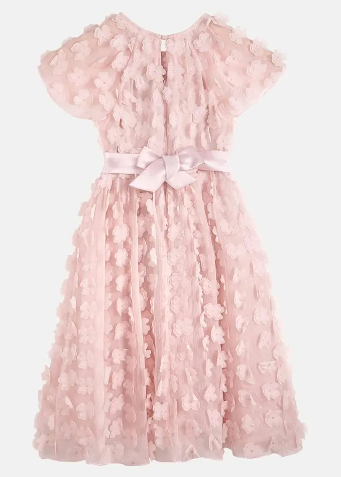 Phase Eight Alice Flower Fit And Flare Dress Antique Rose Women Dresses