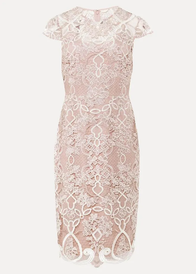 Phase Eight Francis Tapework Midi Dress Petal Women Dresses