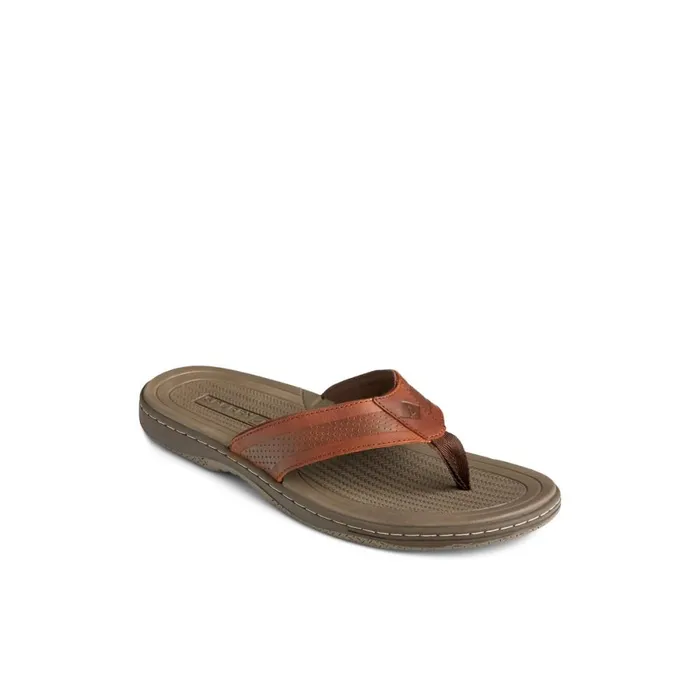 Sandals Men Sperry Havasu Perf Flip Flop Brown Leather Perf