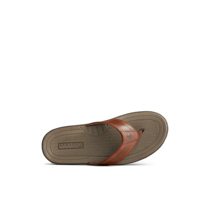 Sandals Men Sperry Havasu Perf Flip Flop Brown Leather Perf
