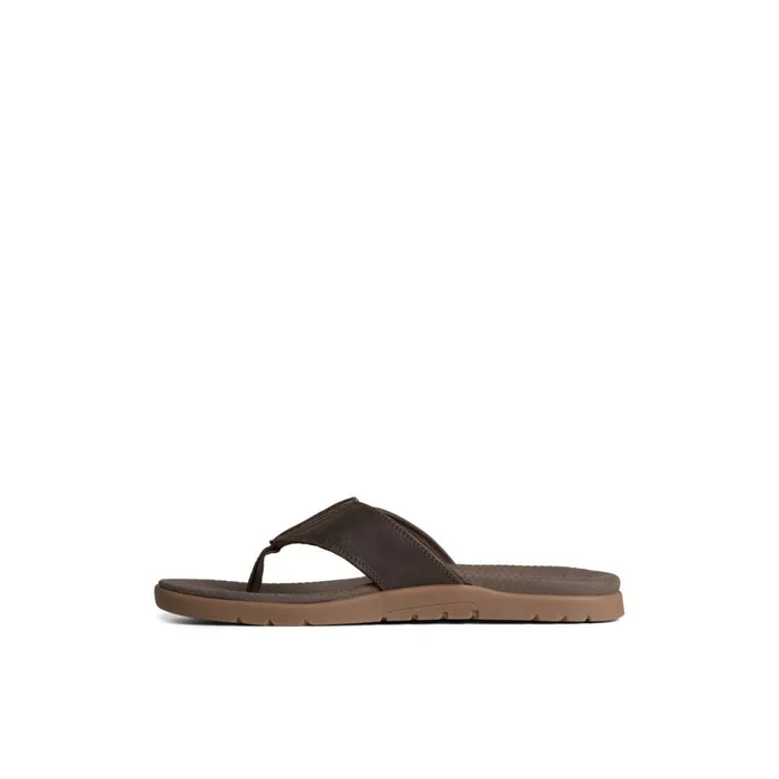 Sandals Men Sperry Santa Cruz II Thong Sandal Brown