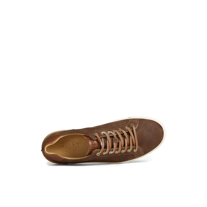 Sneakers Men Sperry Gold Cup Striper LTT Sneaker Brown