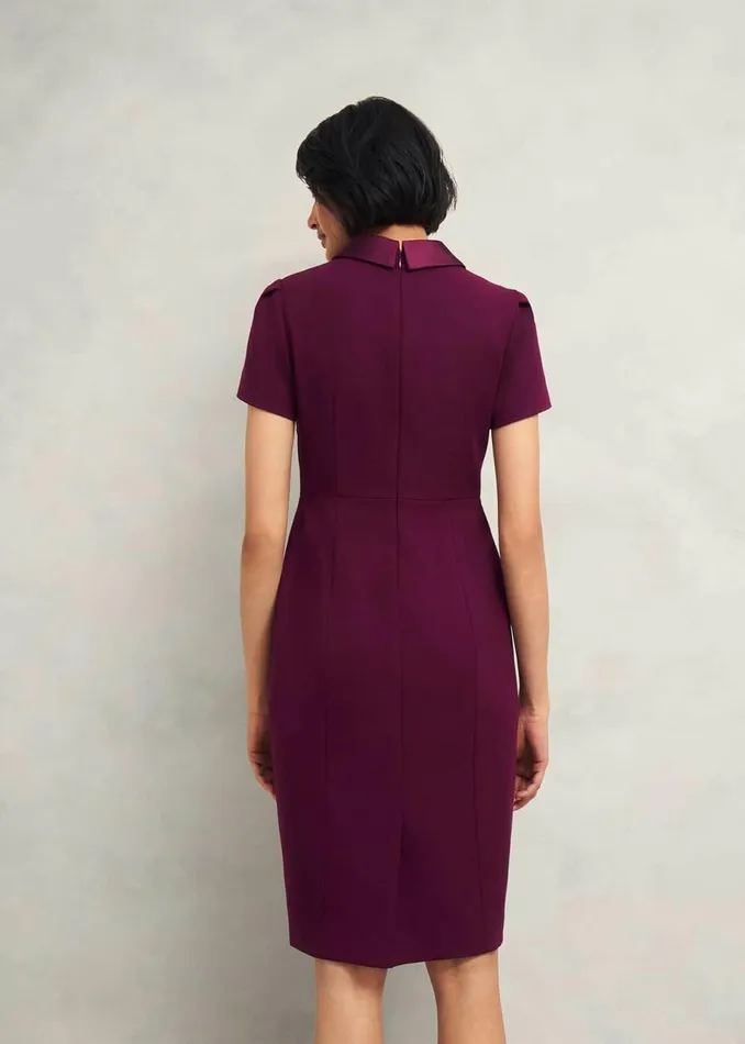 Women Dresses and Jumpsuits Hobbs Amira Dress Warm Plum