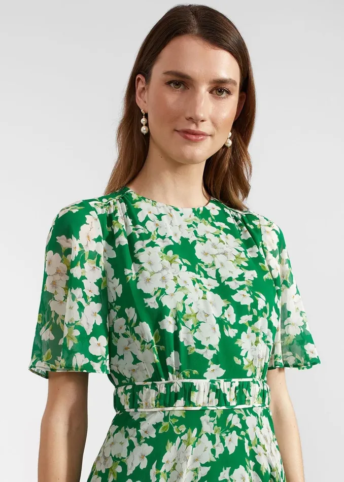 Women Dresses and Jumpsuits Hobbs Petite Bronwyn Silk Dress Green Multi