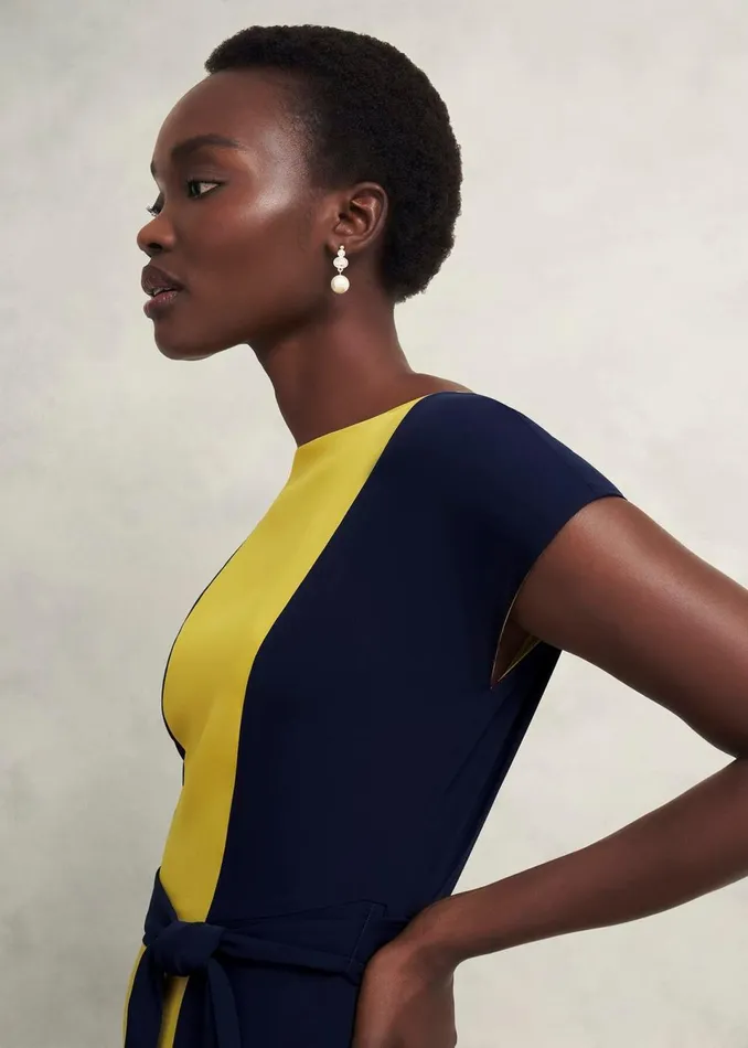 Women Dresses and Jumpsuits Hobbs Petite Emery Tie Belted Dress Navy Yellow