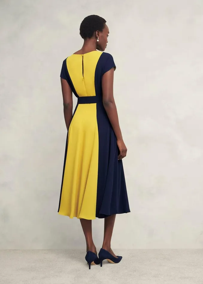 Women Dresses and Jumpsuits Hobbs Petite Emery Tie Belted Dress Navy Yellow