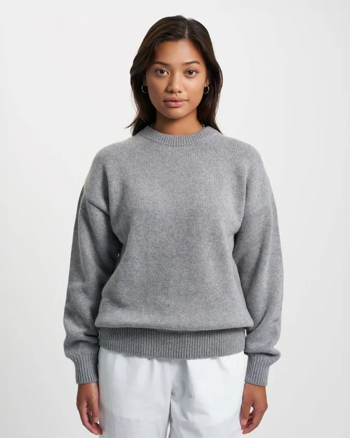 Women Oversized Merino Wool Crew Warm Taupe Colorful Standard Knit Sweaters