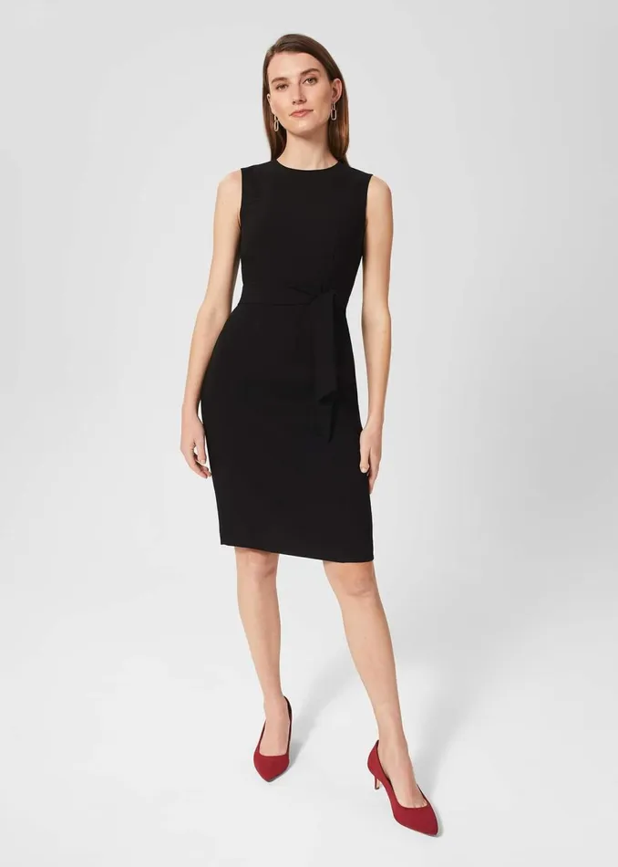 Women Suits and CoOrds Hobbs Petite Mel Dress Black
