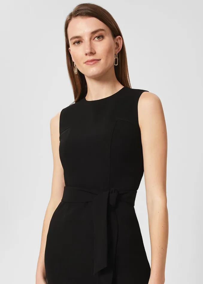 Women Suits and CoOrds Hobbs Petite Mel Dress Black